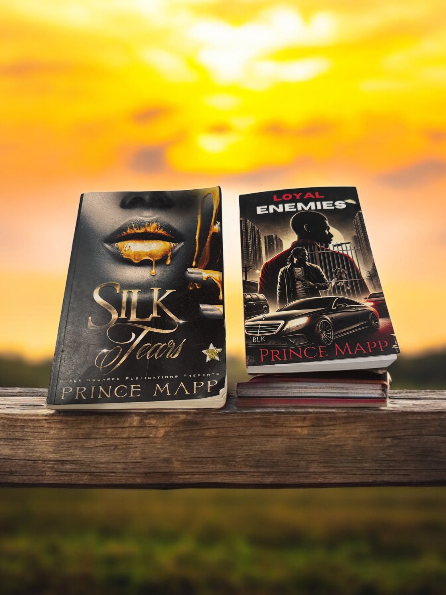 Silk Tears & Loyal Enemies — Prince Mapp (2-Book Bundle)